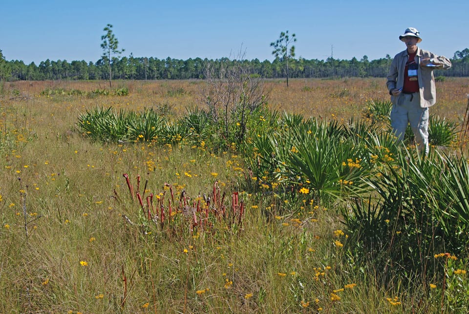 Mississippi Sandhill Crane NWR