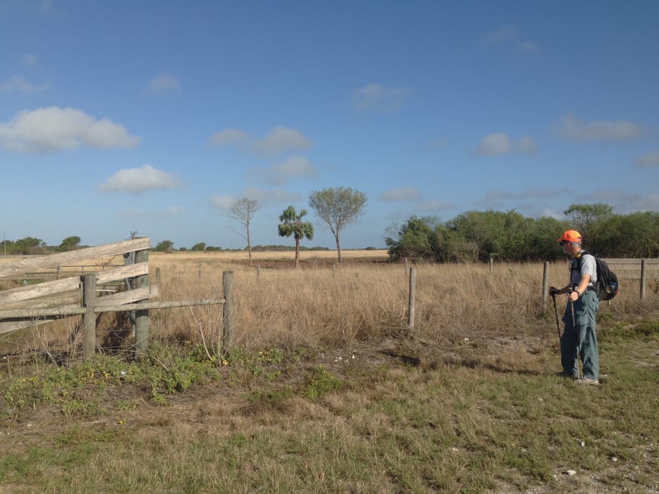 Man looking over a fence