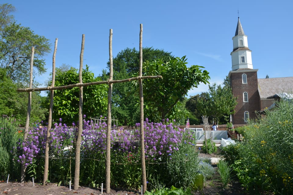 The Rockefeller's Gift