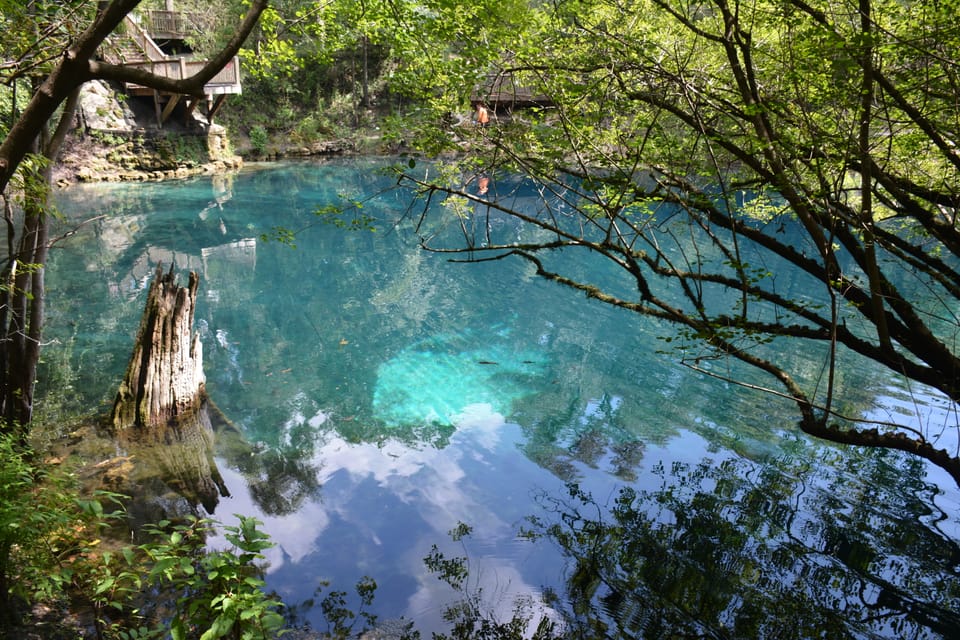 Explorer’s Guide: North Florida & The Panhandle