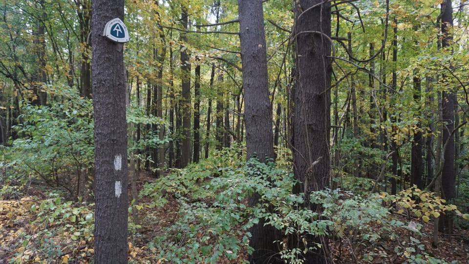 America’s Great Hiking Trails