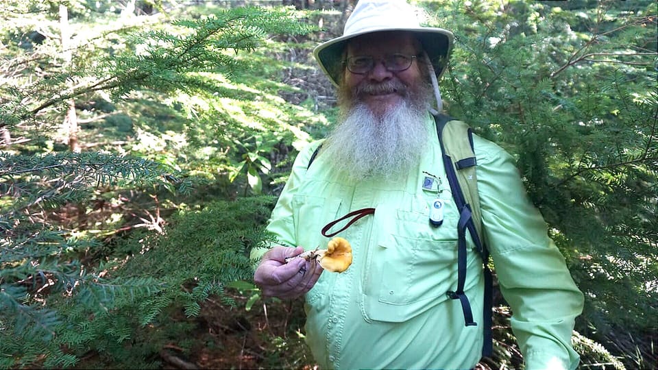 John and the elusive chanterelle