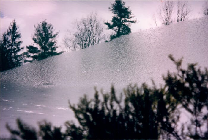 Reflections of trees on icy water